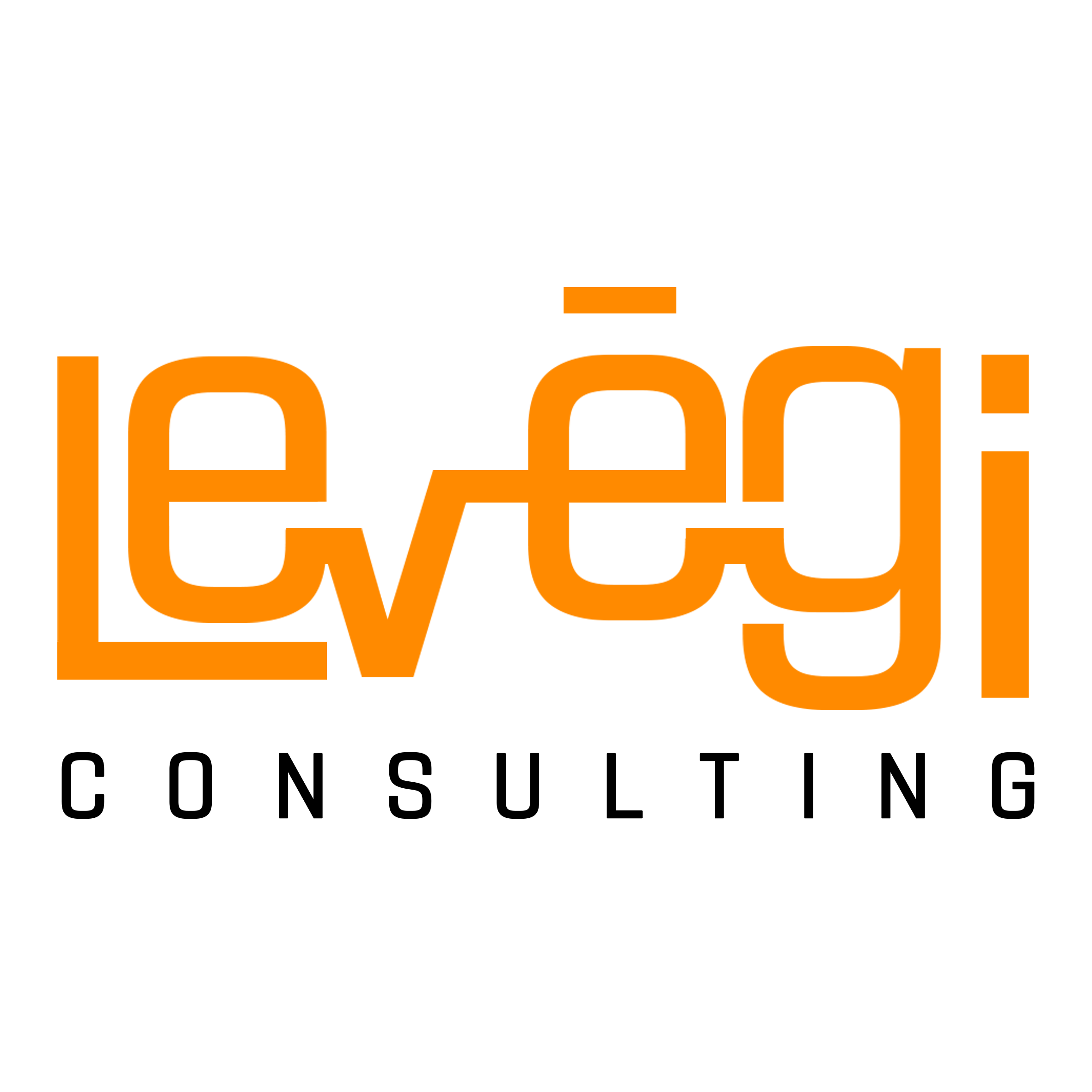 LEVEGI CONSULTING PNG